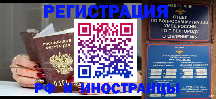 прописка в Щёлкино